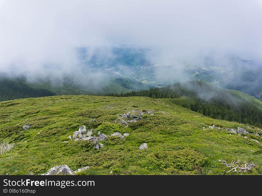 Foggy Mountain