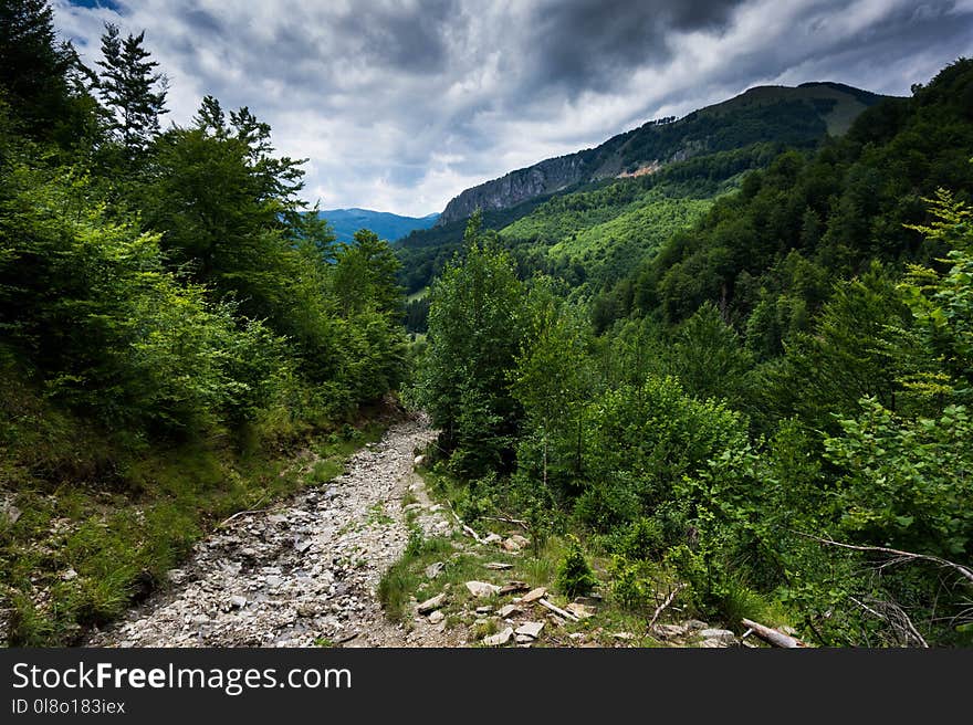 Photo of Mountains With Pathway