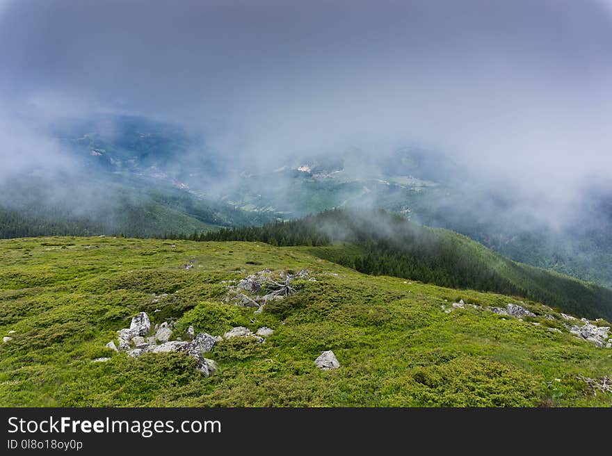 Foggy Mountain