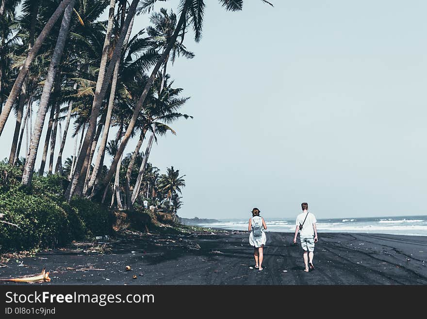 Two People Walking By The Seashore