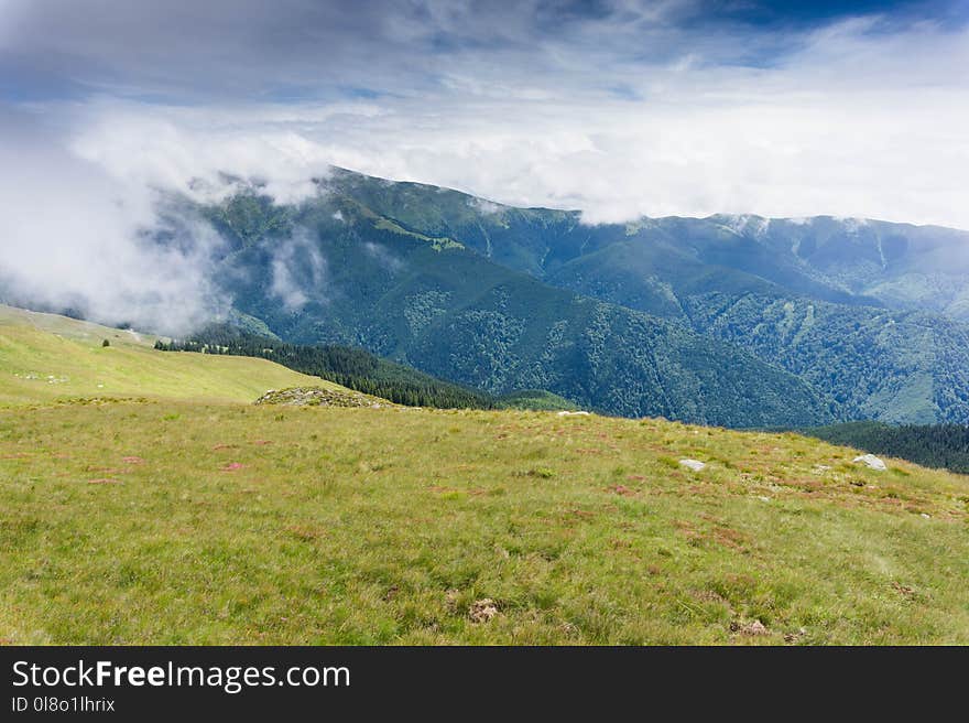 Foggy Mountain