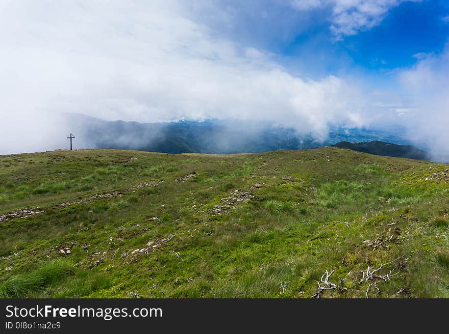 Grassland