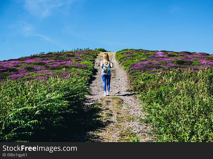 Woman Walking Alone in Between Purple Flower Field