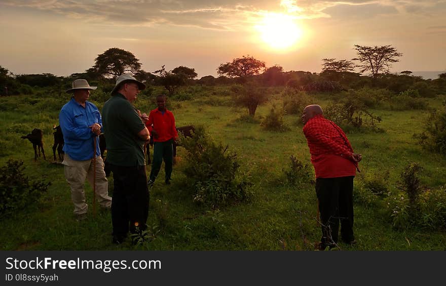 Nature, Sky, Wilderness, Grassland