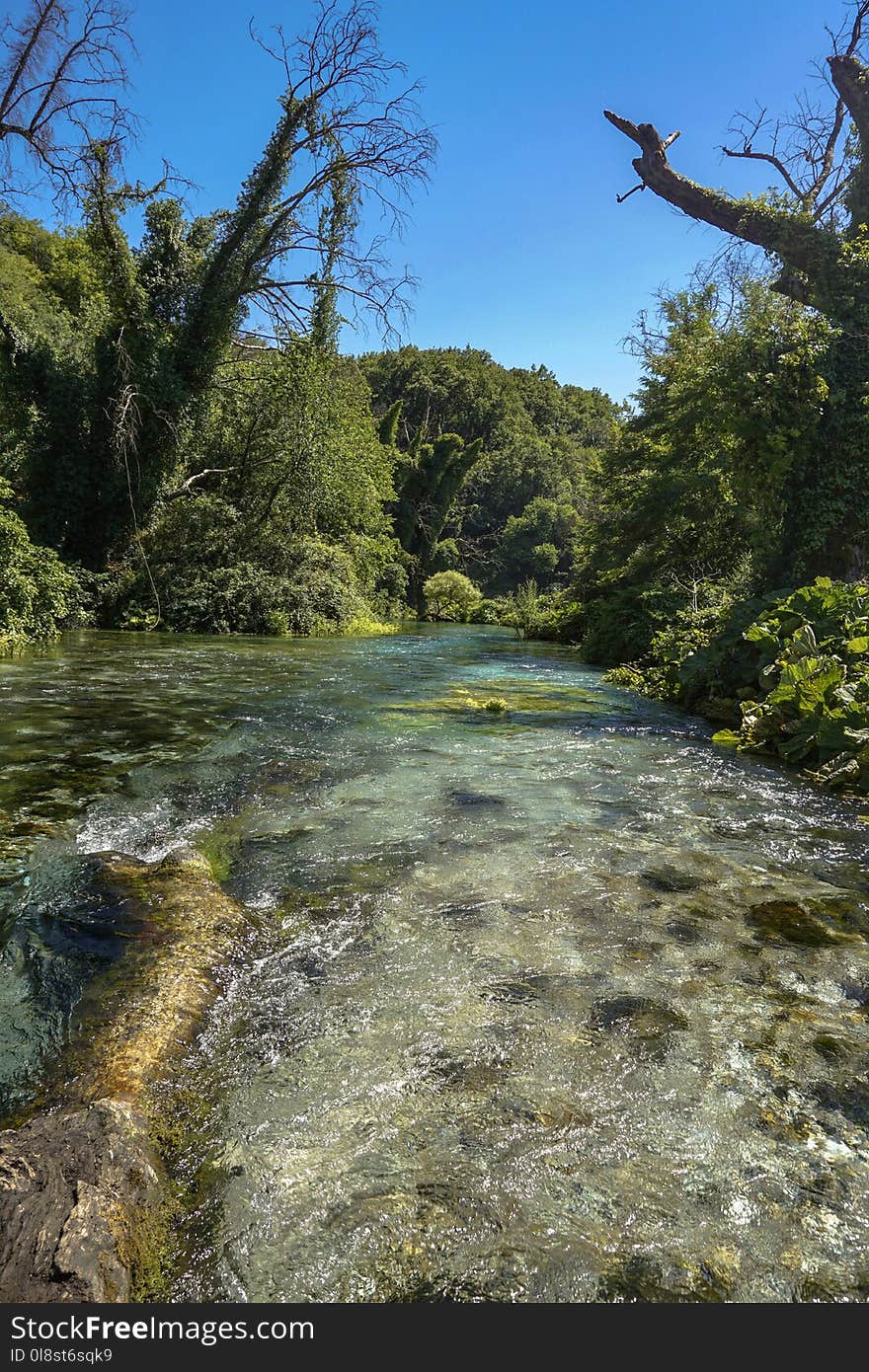 Water, River, Nature, Vegetation