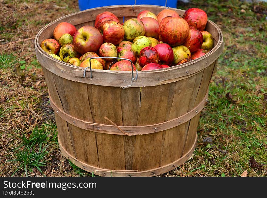 Fruit, Local Food, Produce, Apple