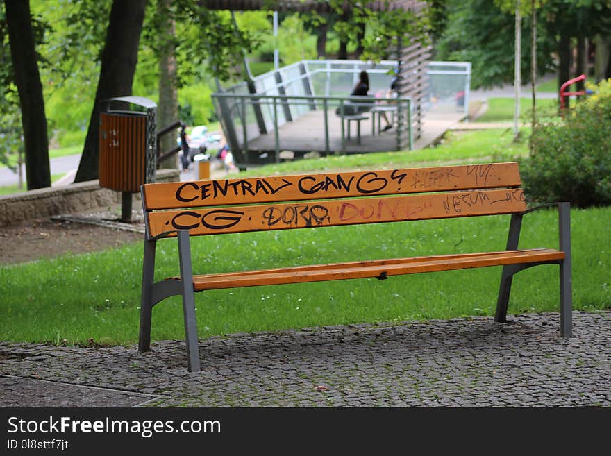 Furniture, Bench, Tree, Park