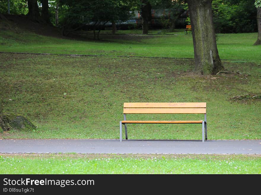 Bench, Furniture, Grass, Lawn