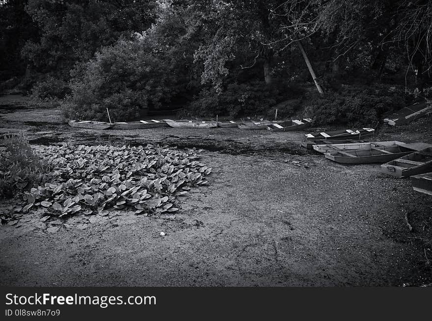 Water, Black, Nature, Black And White