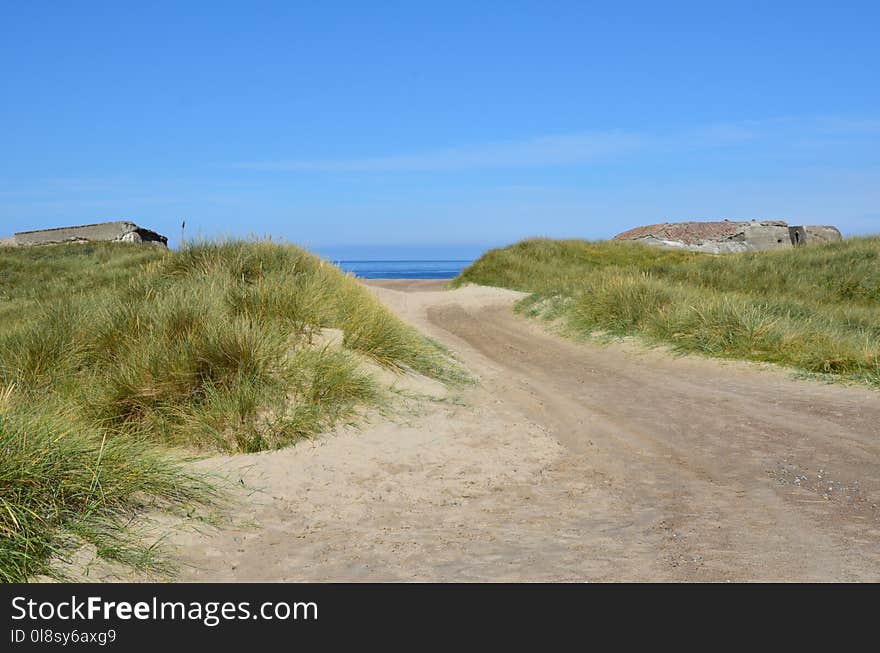 Ecosystem, Sky, Coast, Path