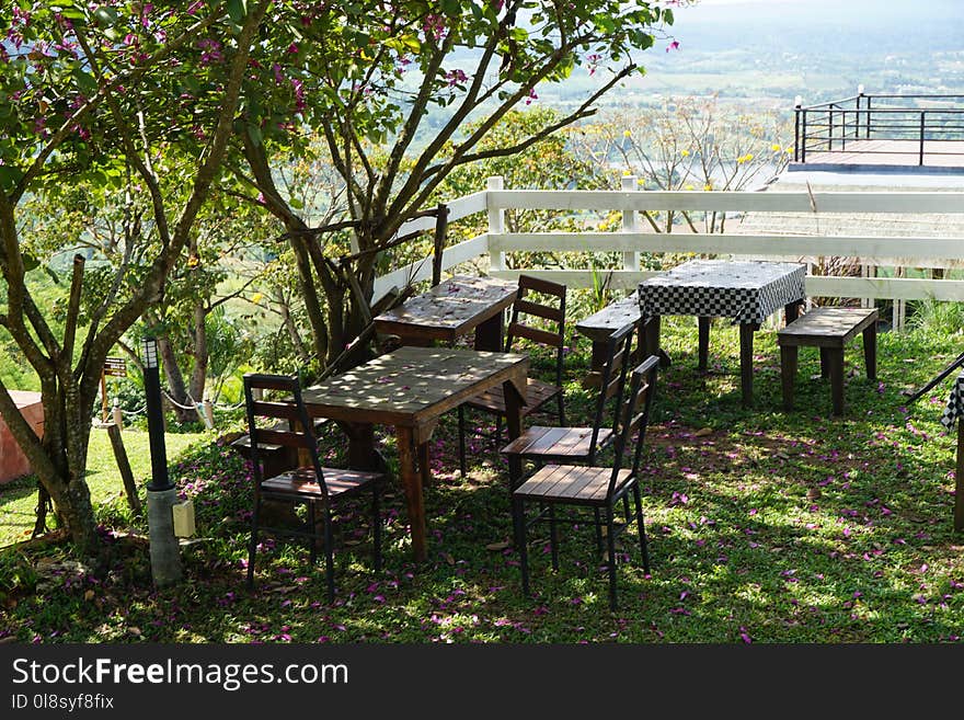 Tree, Plant, Table, Outdoor Structure