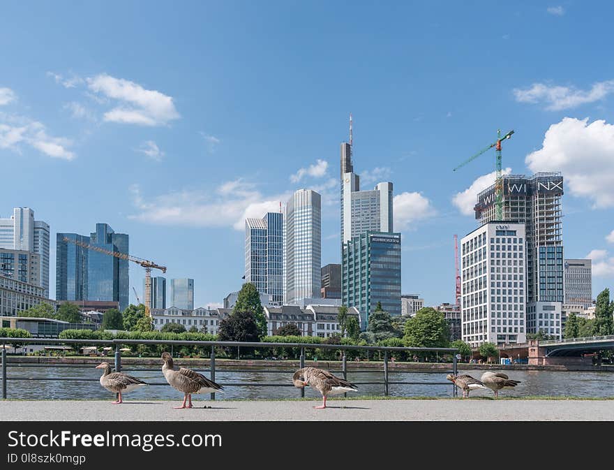 Metropolitan Area, Skyline, City, Skyscraper