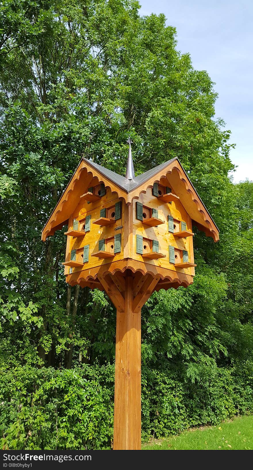 Tree, Bird Feeder, Wood, Outdoor Structure