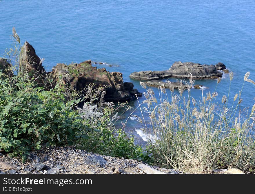 Coast, Nature Reserve, Promontory, Rock