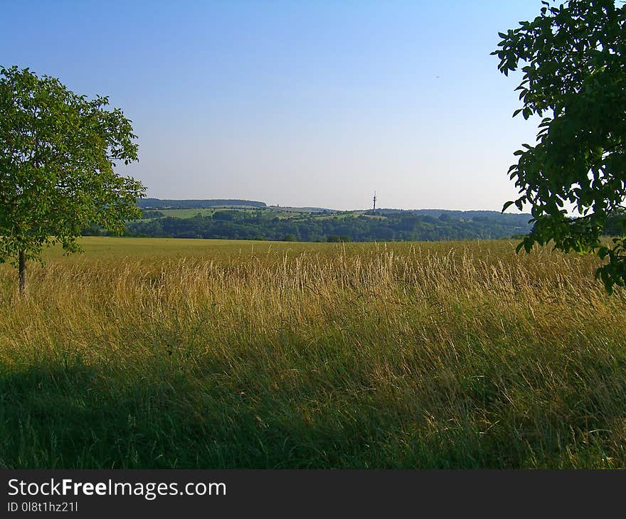 Grassland, Prairie, Sky, Field