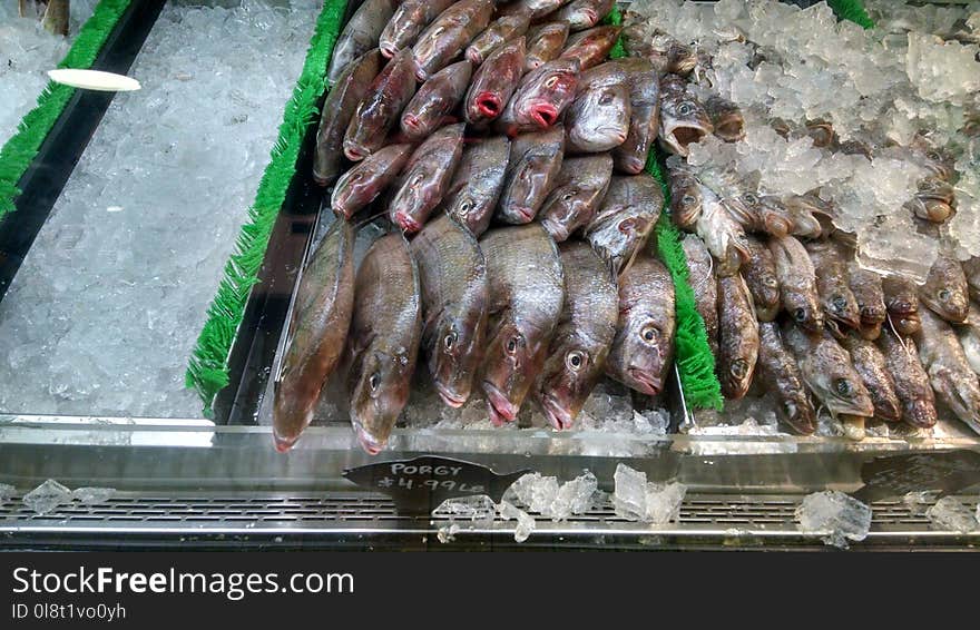 Fish, Fish Products, Animal Source Foods, Meat