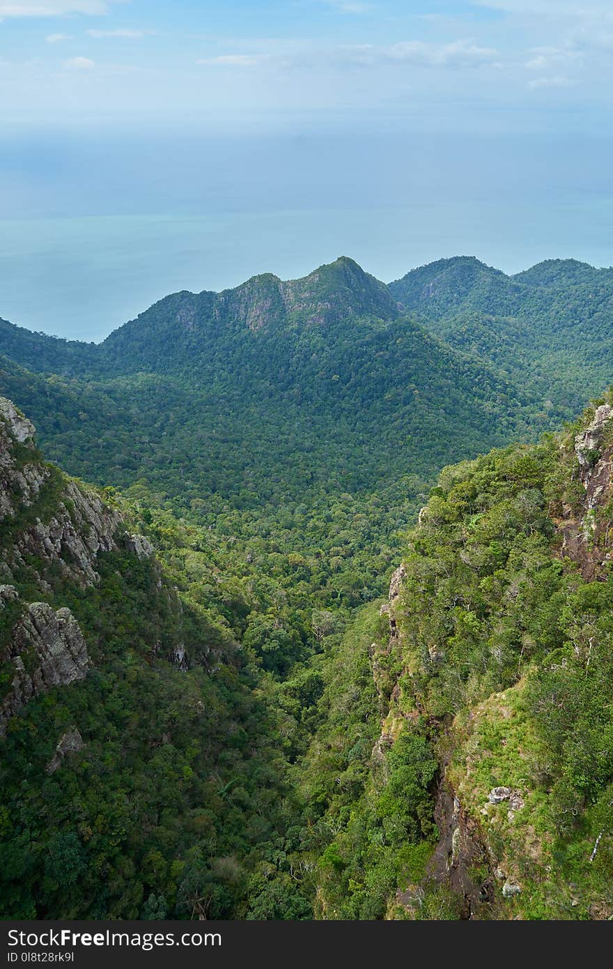 Vegetation, Mountainous Landforms, Nature, Mountain