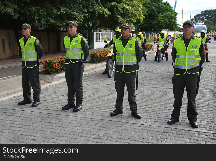 Police, Street, Tree, Police Officer