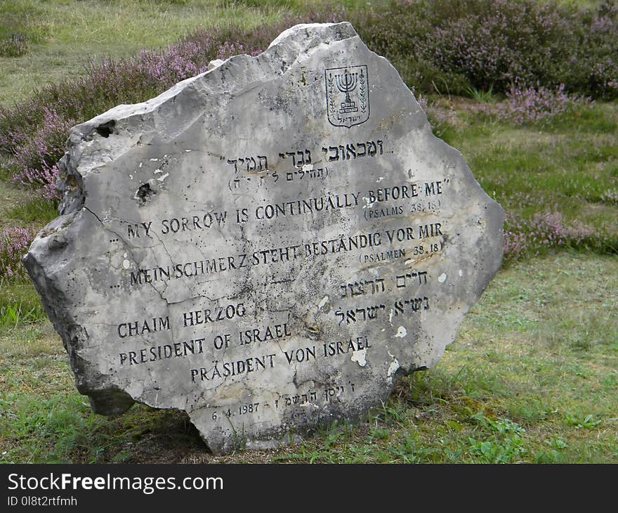 Grave, Memorial, Headstone, Grass