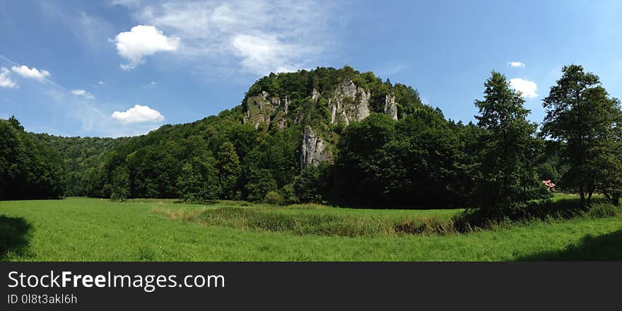 Nature, Vegetation, Ecosystem, Nature Reserve