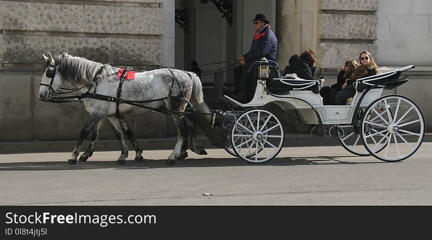 Carriage, Horse And Buggy, Horse Harness, Mode Of Transport