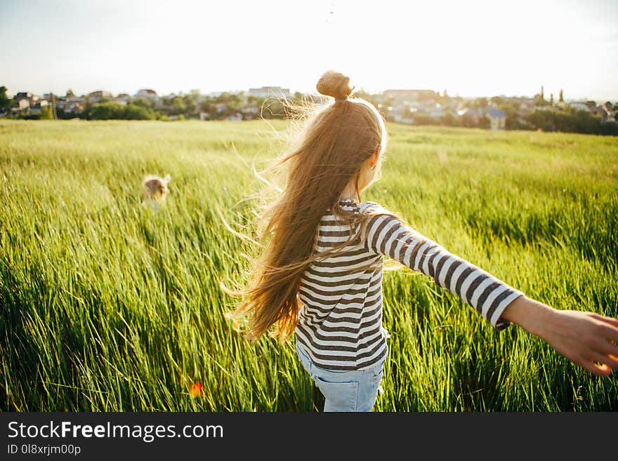 Cheerful girls are playing catch-up in the green field at sunset. Children`s games during the summer holidays in the village. Cheerful girls are playing catch-up in the green field at sunset. Children`s games during the summer holidays in the village.