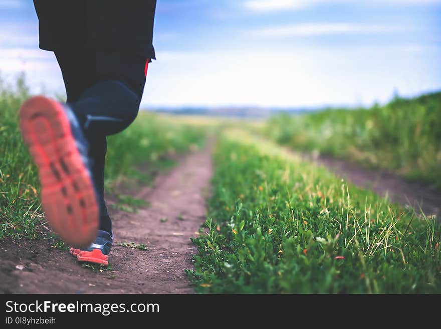 Close-up Jogging And Running Outdoors In Nature. Run People Outdoor. Athlete Wearing In Trainers And Leggings For Running