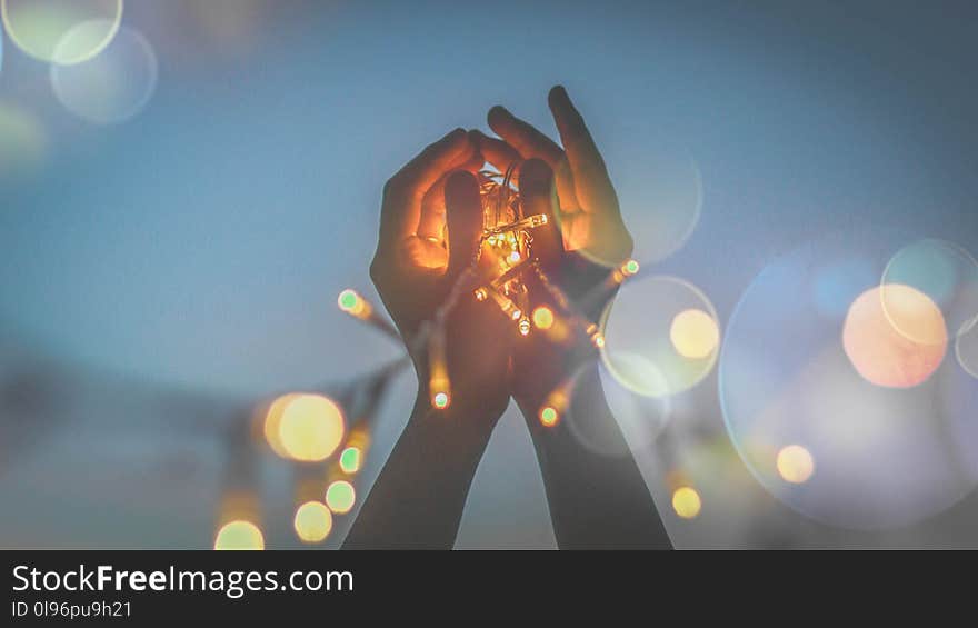 Person&#x27;s Hand With Light Bokeh