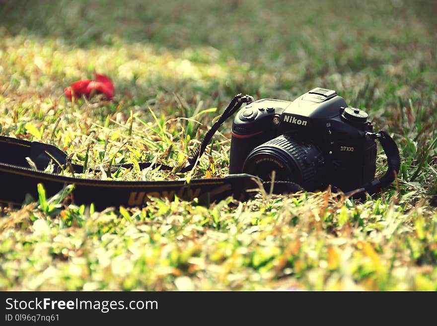 Black Nikon Dslr Camera on Ground