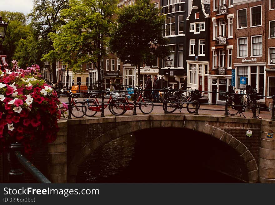 Photo of Bicycles Near Bridge at Daytime