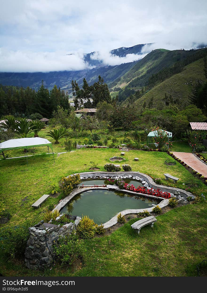 Pond Beside Grass Field and Canopy