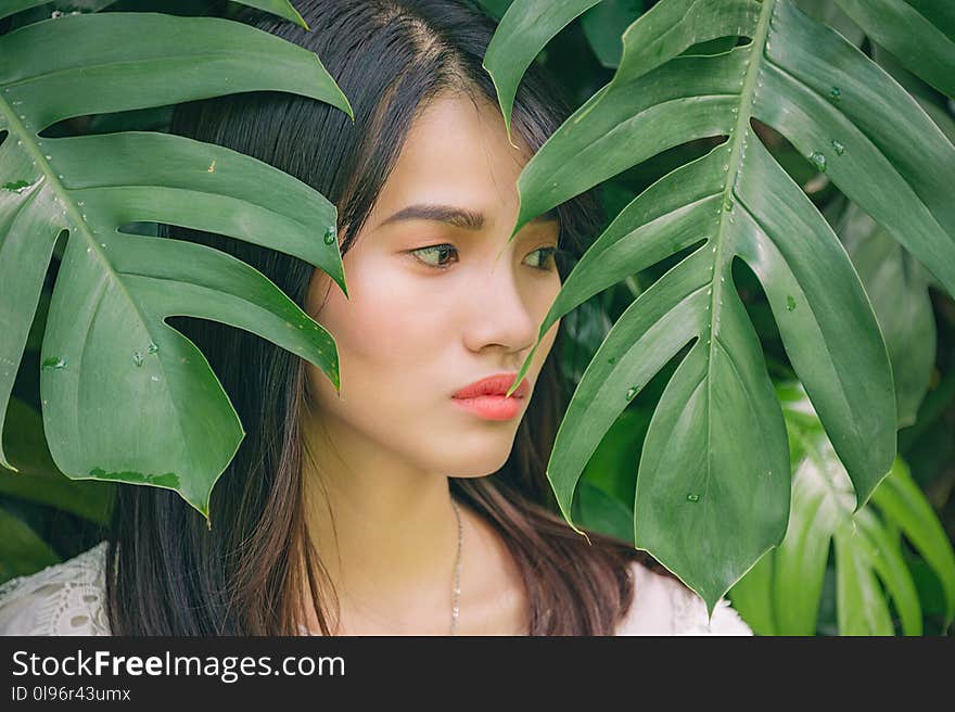 Woman Behind Leaves