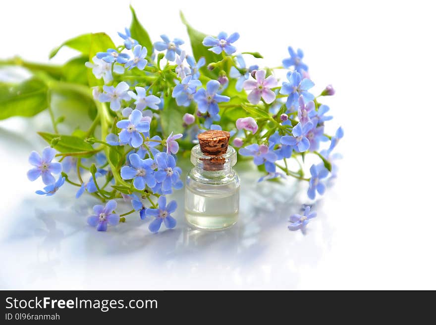 Purple Flowers Beside Clear Glass Bottle