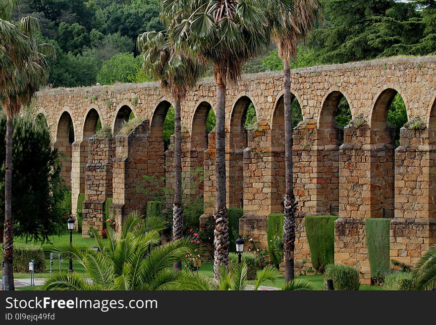 Aqueduct, Historic Site, Viaduct, Tree