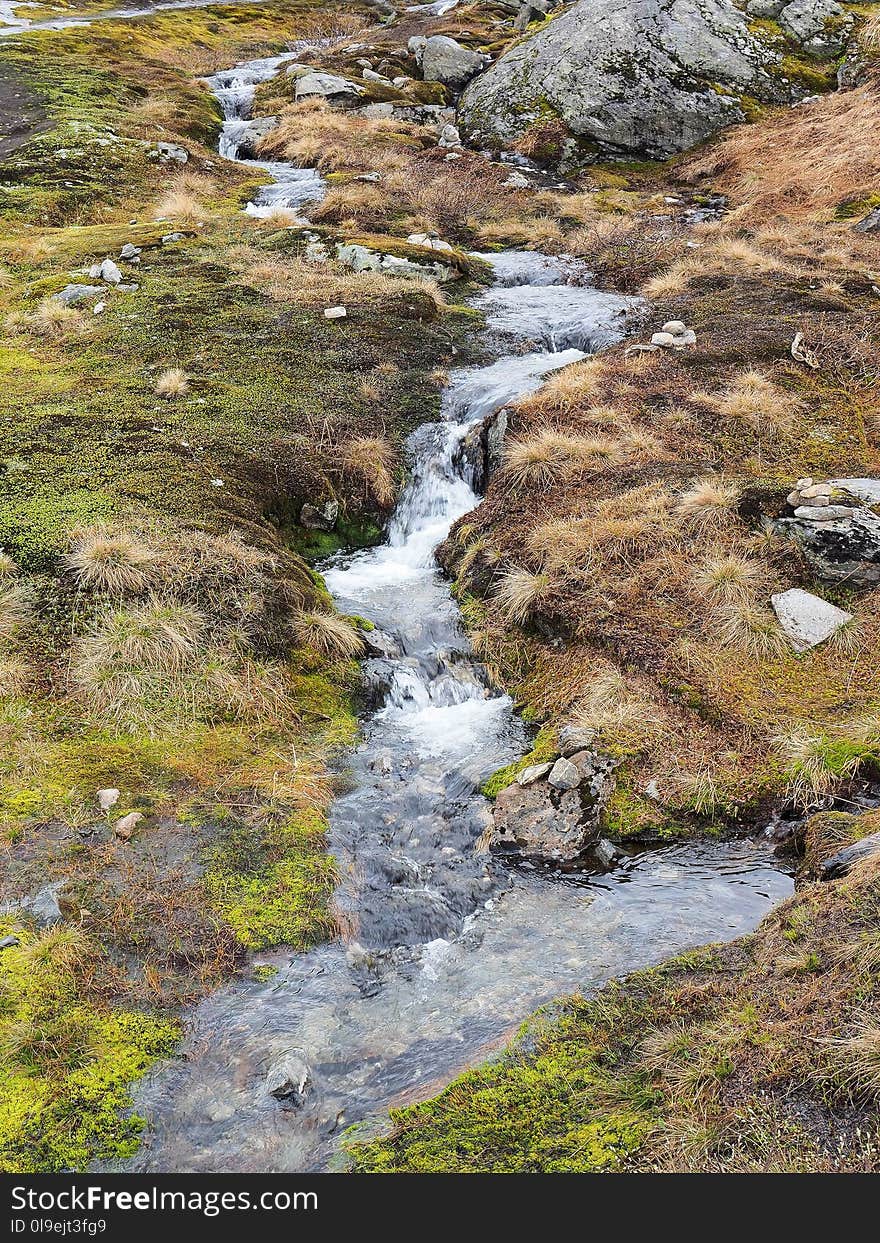 Water, Stream, Wilderness, Nature Reserve