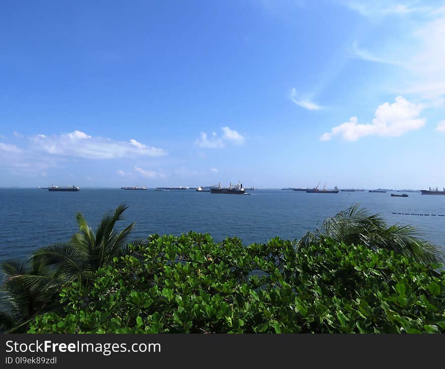 Sea, Sky, Horizon, Coast