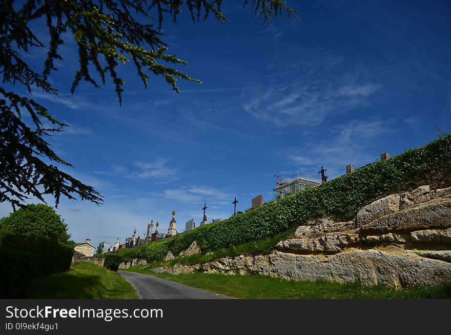 Sky, Vegetation, Tree, Road