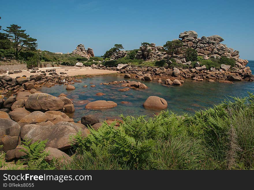 Rock, Vegetation, Nature Reserve, Coast