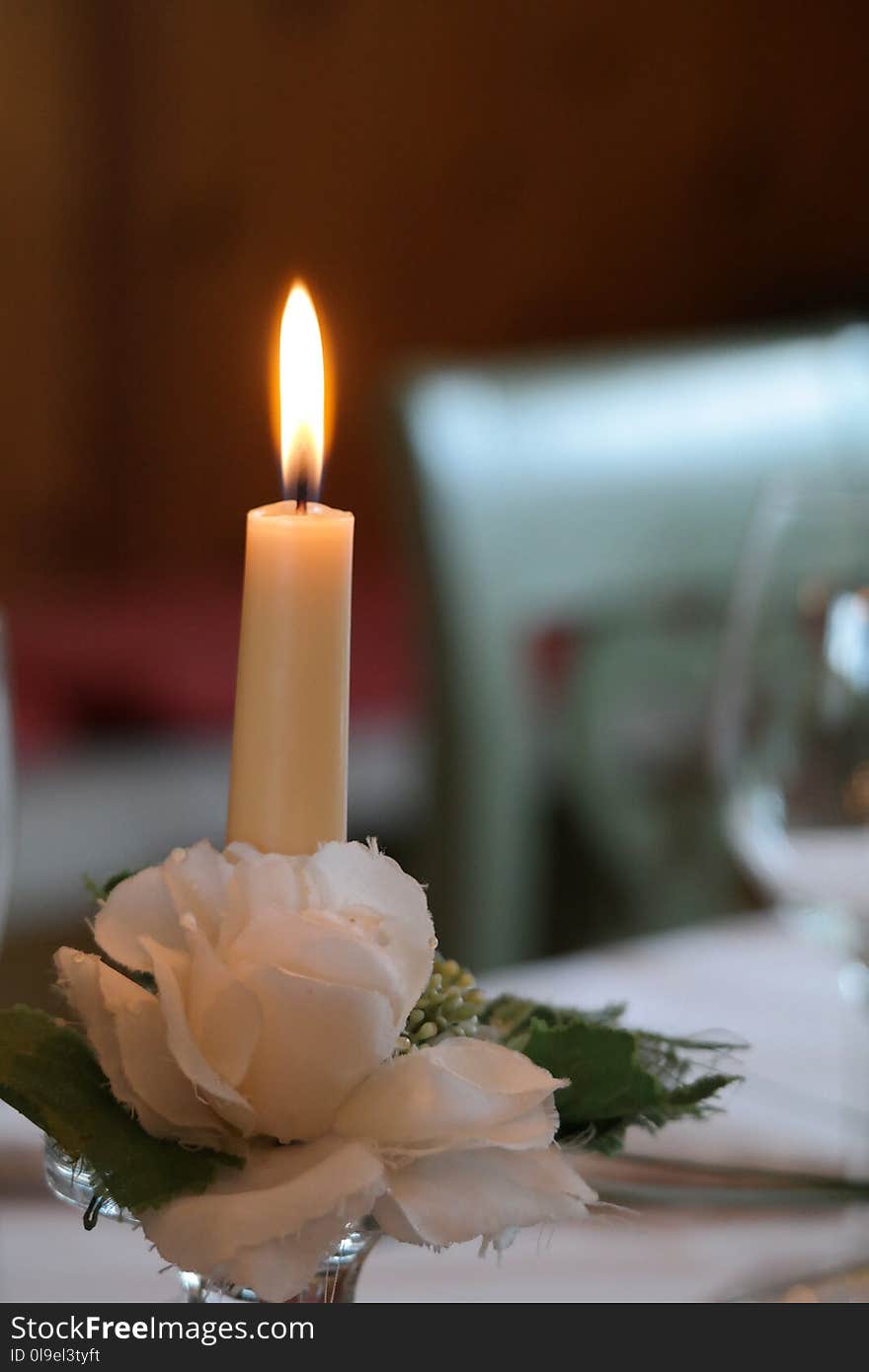 Candle, Flower, Lighting, Centrepiece