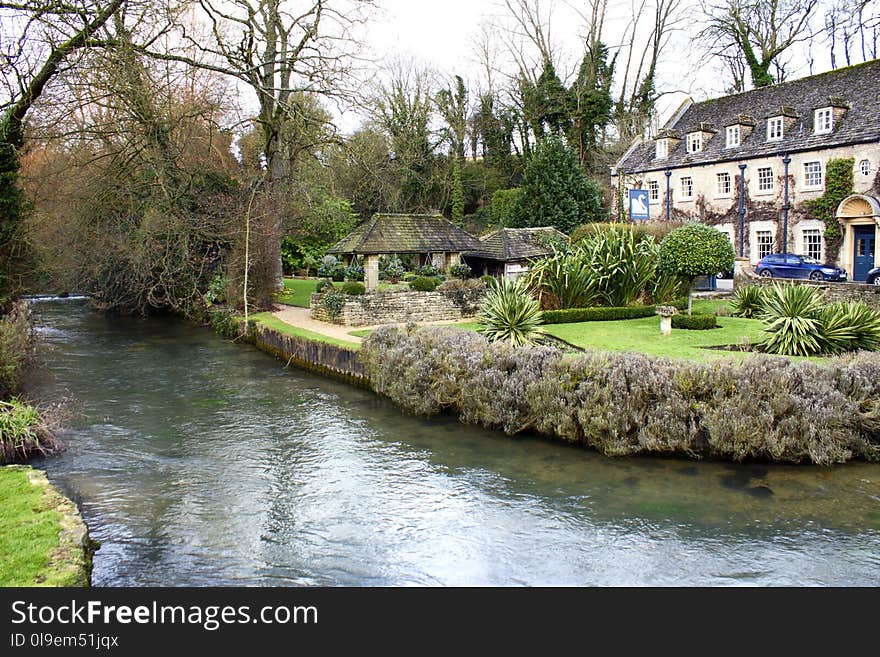 Water, Waterway, Tree, Plant