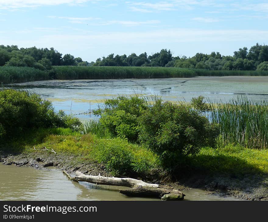 River, Waterway, Nature Reserve, Bank