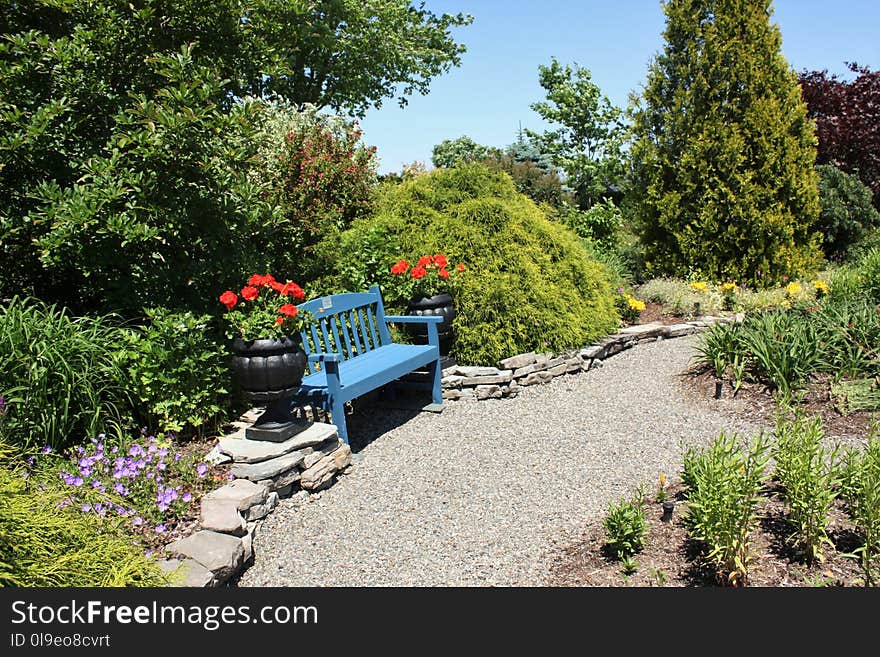 Plant, Vegetation, Waterway, Garden