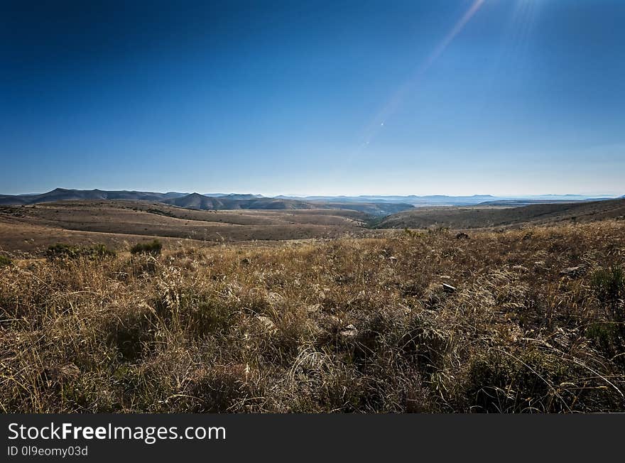 Sky, Ecosystem, Wilderness, Grassland