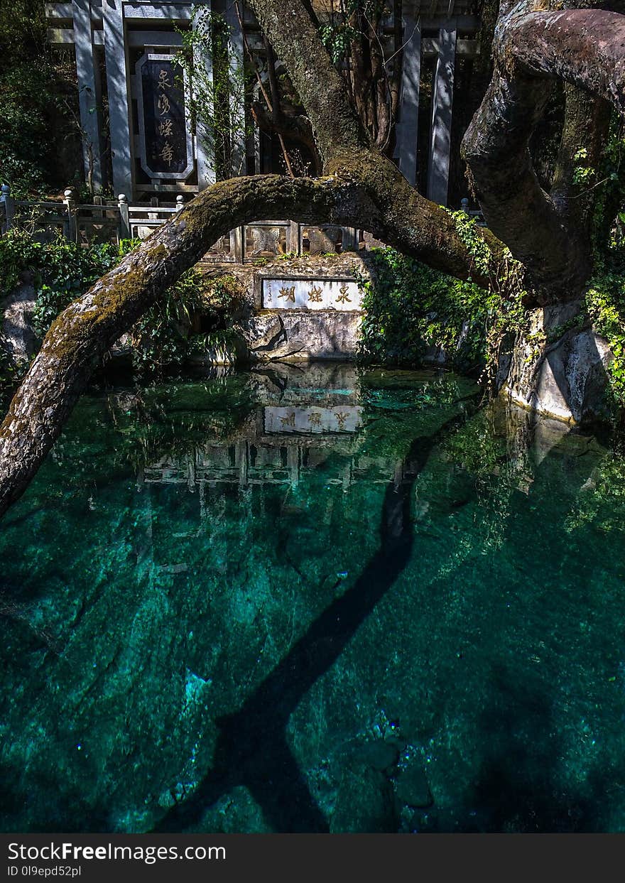 Water, Nature, Reflection, Body Of Water