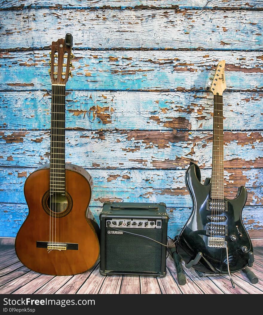 Musical Instrument, Guitar, Plucked String Instruments, Bass Guitar