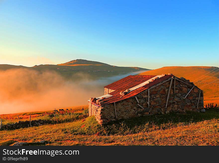 Sky, Field, Grassland, Dawn