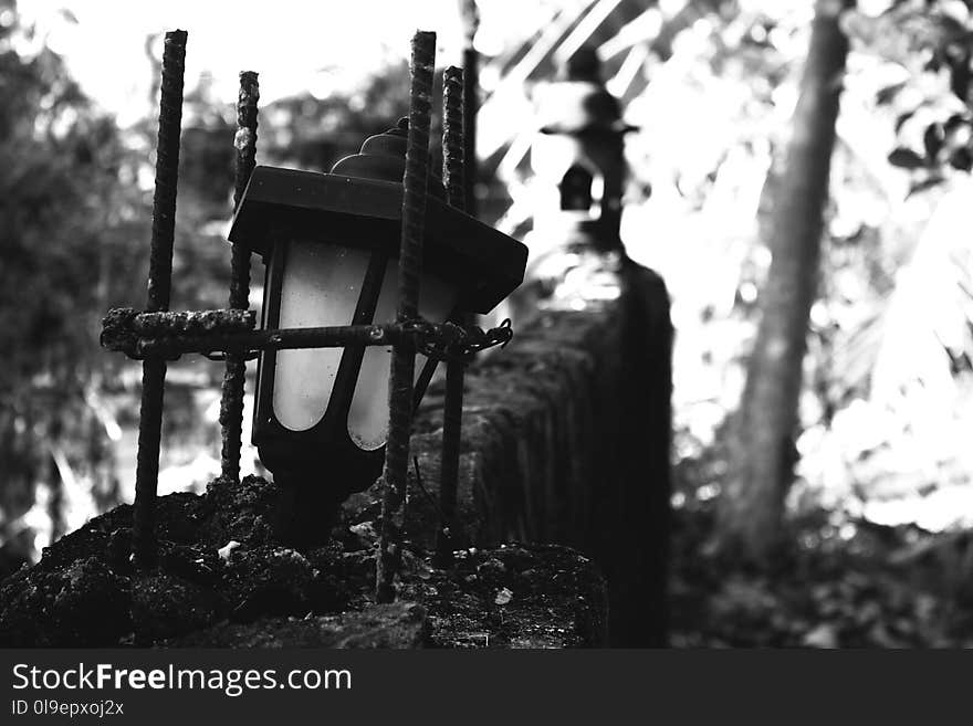 Black, Black And White, Monochrome Photography, Tree