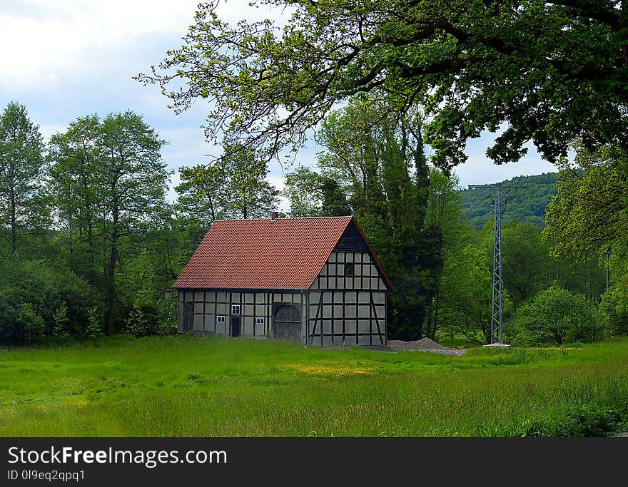 Nature, Green, House, Cottage