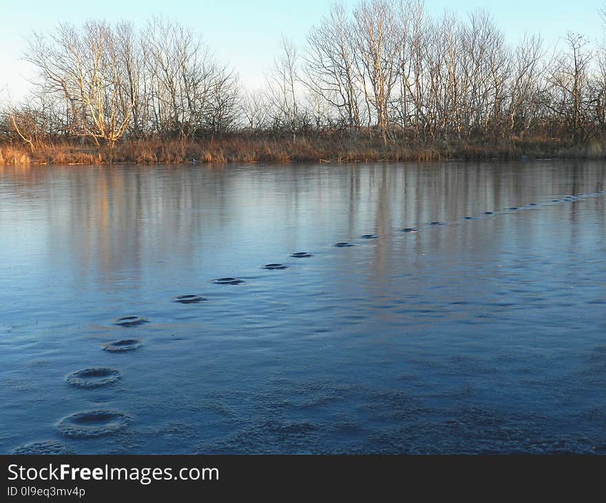 Water, River, Waterway, Body Of Water