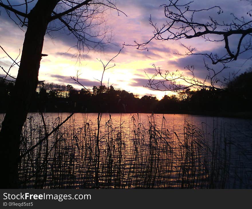 Sky, Reflection, Water, Cloud